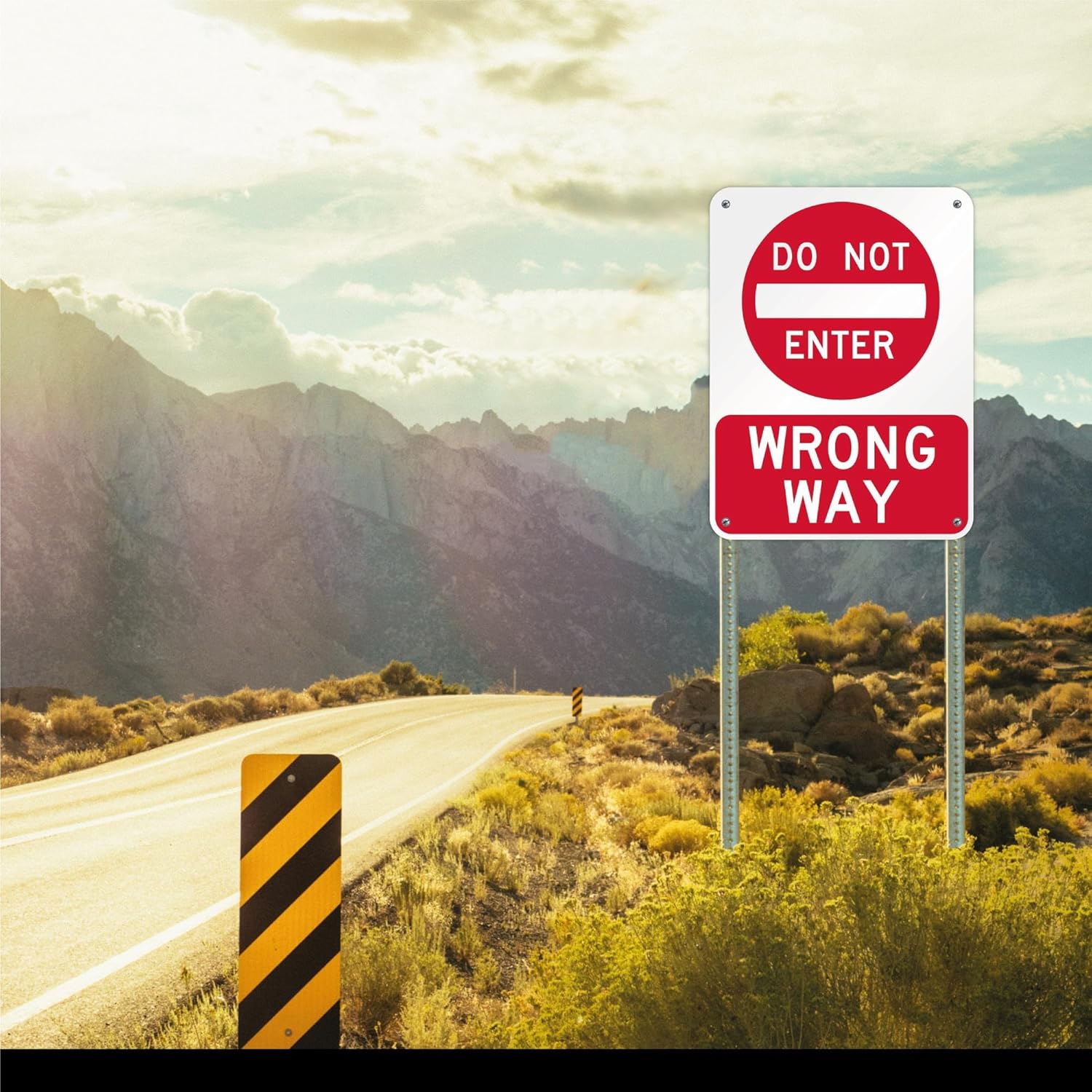 Do Not Enter Wrong Way Sign - 24x18 - Aluminum