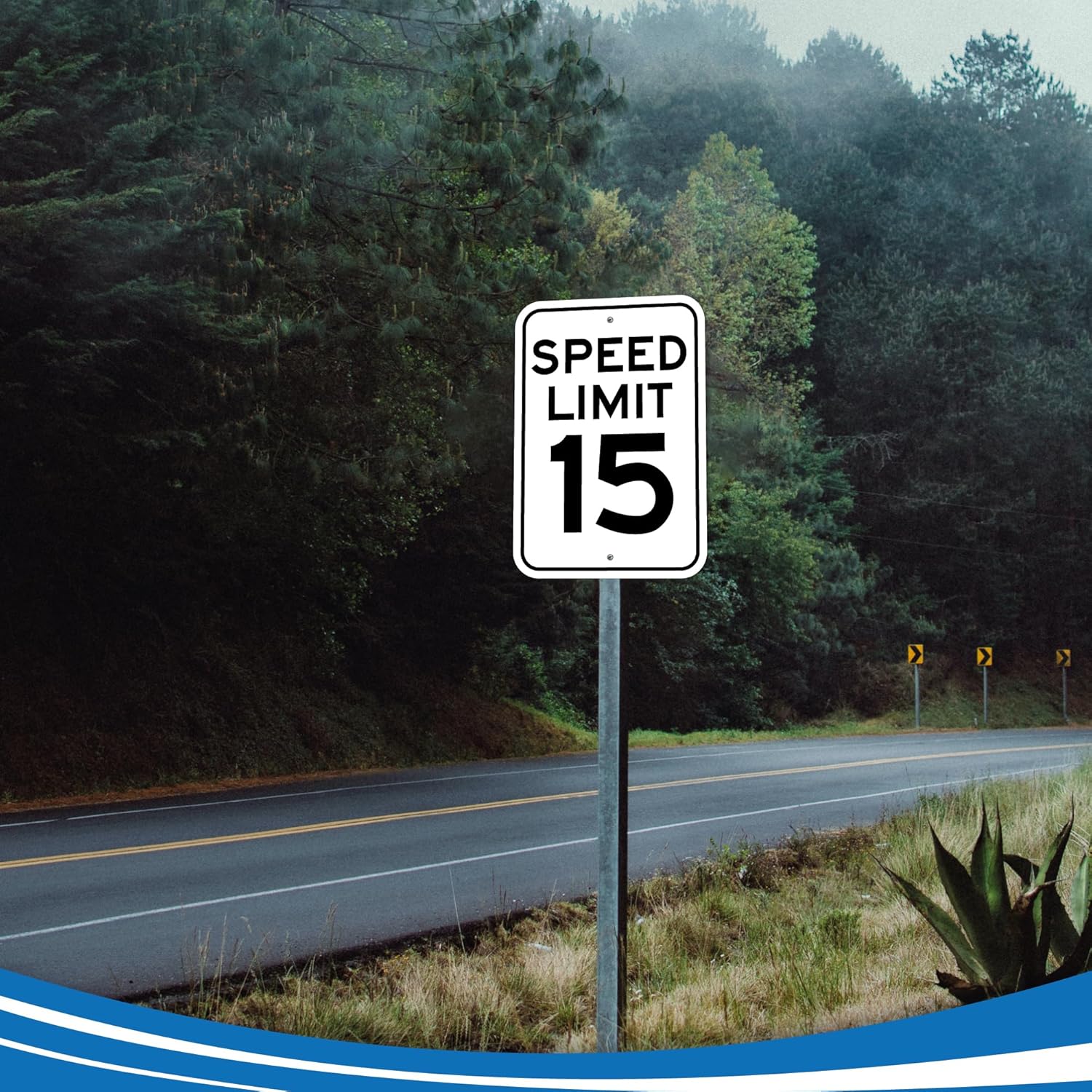 Multiple 'SPEED LIMIT 15' signs stacked on a white background