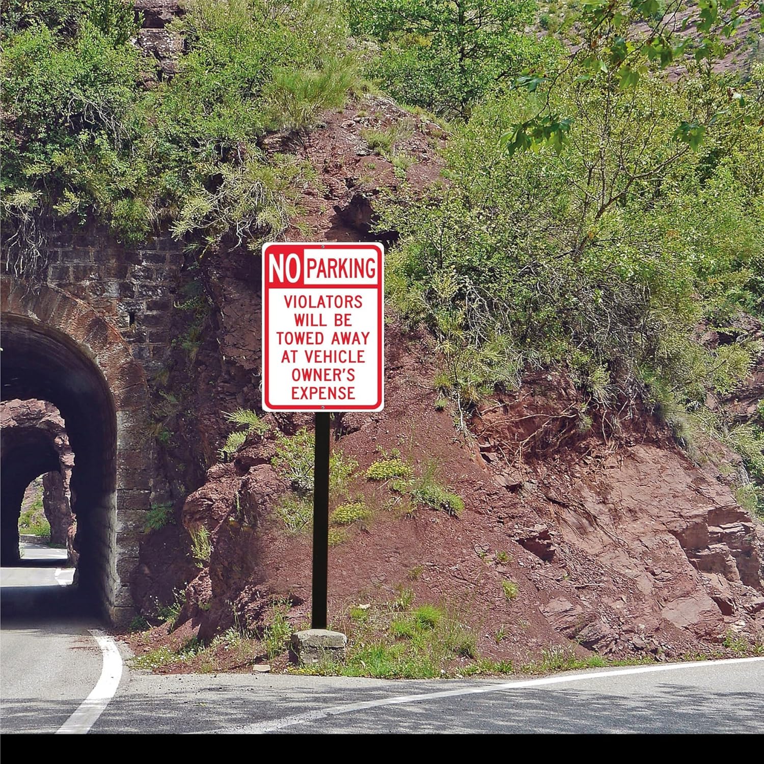 Multiple 'No Parking' signs with additional text on a reflective surface.